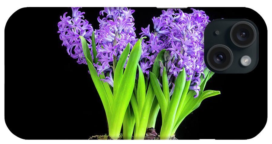 Hyacinths iPhone Case featuring the photograph Violet Hyacinths X100 by Rich Franco