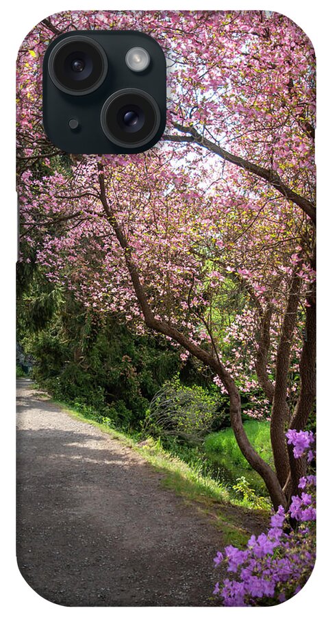 Jenny Rainbow Fine Art Photography iPhone Case featuring the photograph Vivid Colors of Spring Eden - Dogwood Bloom by Jenny Rainbow