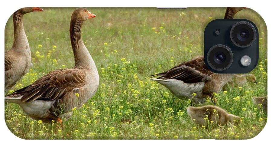 Geese iPhone Case featuring the photograph Waddling Through the Wildflowers by Marcy Wielfaert
