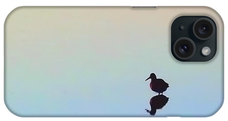Bird iPhone Case featuring the photograph Wading Willet by Lori Lafargue