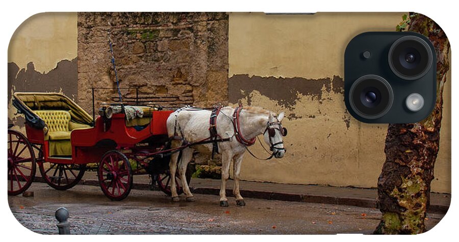 Horse Drawn Carriage iPhone Case featuring the photograph Waiting for Riders - Cordoba, Spain by Denise Strahm