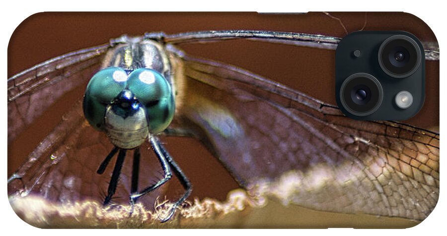 Insect iPhone Case featuring the photograph Watched by a Dragonfly by Portia Olaughlin