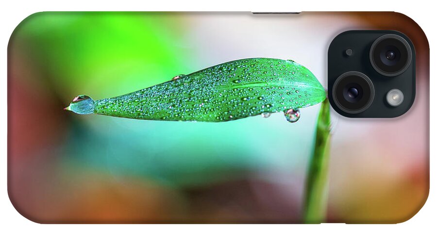 Water Drops iPhone Case featuring the photograph Water Drops on Leaf by Amelia Pearn