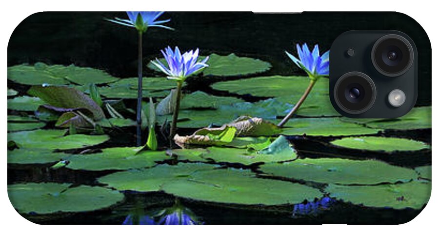 Water Lily iPhone Case featuring the photograph Water Lilies 2 by Richard Krebs