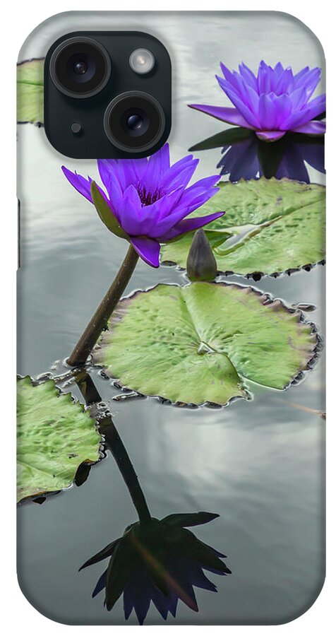 Lily iPhone Case featuring the photograph Water Lilies in Portrait by Cate Franklyn