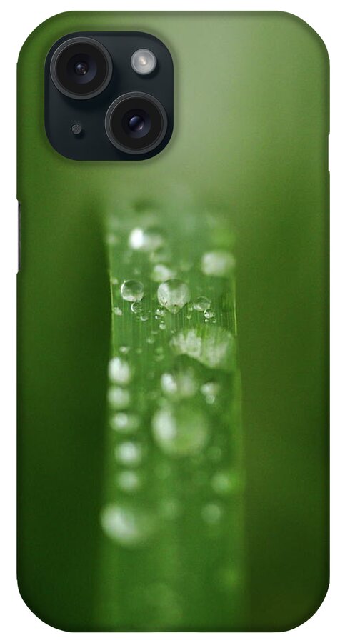 Grass iPhone Case featuring the photograph Water Slide by Lens Art Photography By Larry Trager
