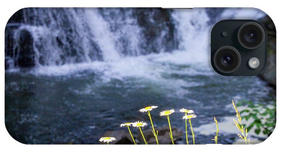 Waterfall iPhone Case featuring the photograph Waterfall Daisies by William Norton