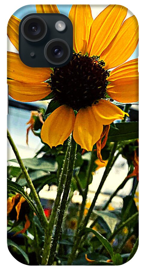 Flower iPhone Case featuring the photograph We Grow Happiness by Lee Darnell