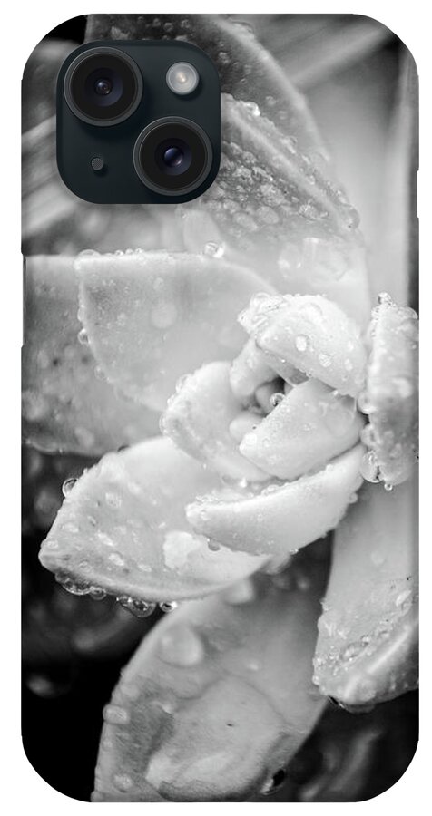 Background iPhone Case featuring the photograph Wet Succulent plant by Mike Fusaro