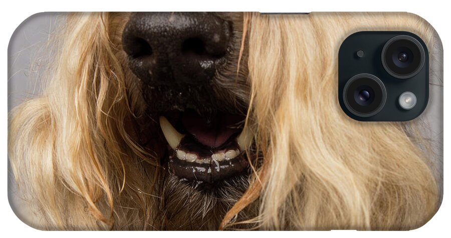 Wheaten iPhone Case featuring the photograph Wheaten Face Mask 4 by Rebecca Cozart