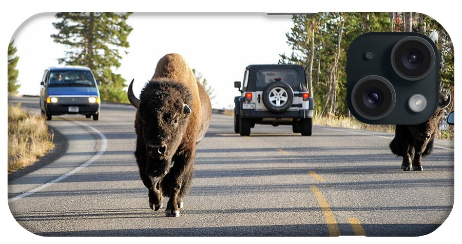 Buffalo iPhone Case featuring the photograph Where The Buffalo Roam - Bison, Yellowstone National Park, Wyoming by Earth And Spirit