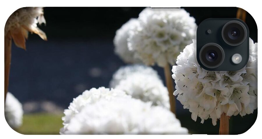 Aliums iPhone Case featuring the photograph White Aliums by Vicki Cridland
