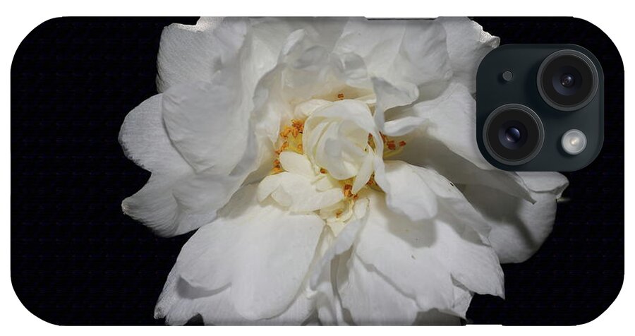 Camellia iPhone Case featuring the photograph White Camellia II by Mingming Jiang