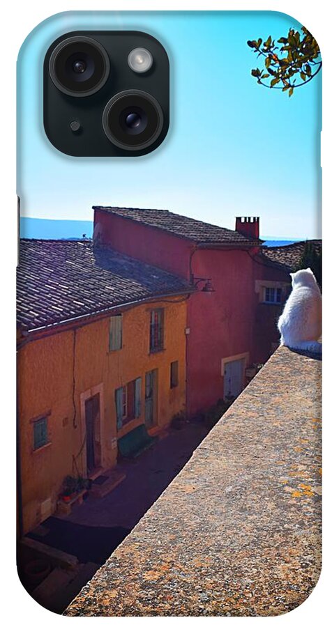 Cat iPhone Case featuring the photograph White Cat on the Edge Photo 191 by Lucie Dumas