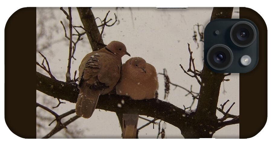 Pair Of Doves iPhone Case featuring the photograph White Christmas by Attila Meszlenyi