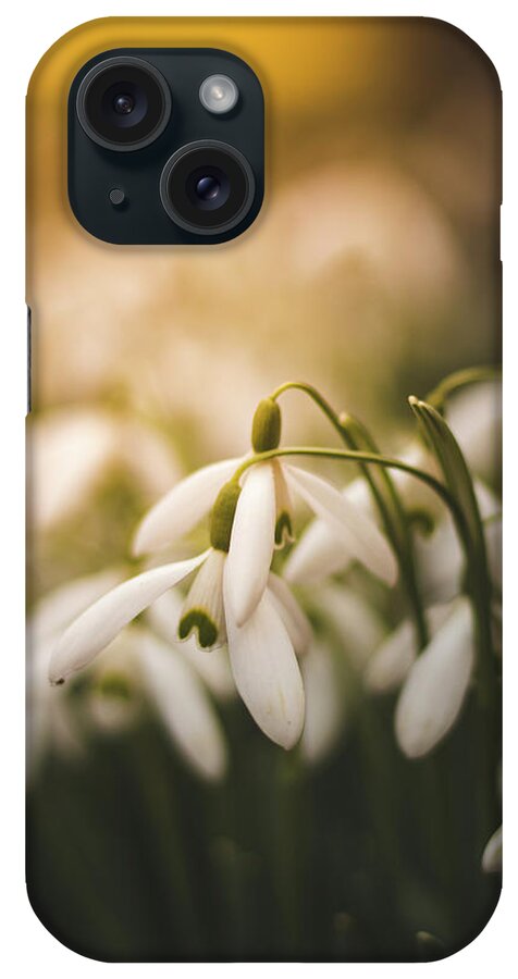 Europe iPhone Case featuring the photograph White common snowdrop - prank of nature by Vaclav Sonnek