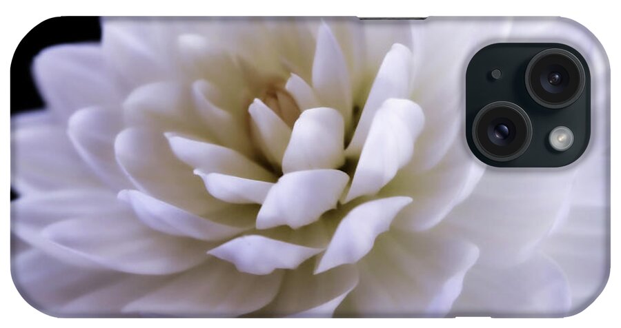 Dahlia iPhone Case featuring the photograph White Dahlia Square Format by Sally Bauer