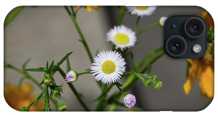 Flower iPhone Case featuring the photograph White daisy by Walter White