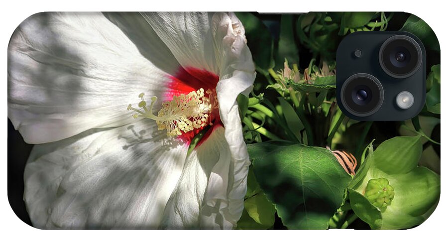 Hibiscus iPhone Case featuring the photograph White Hibiscus by Donna Kennedy