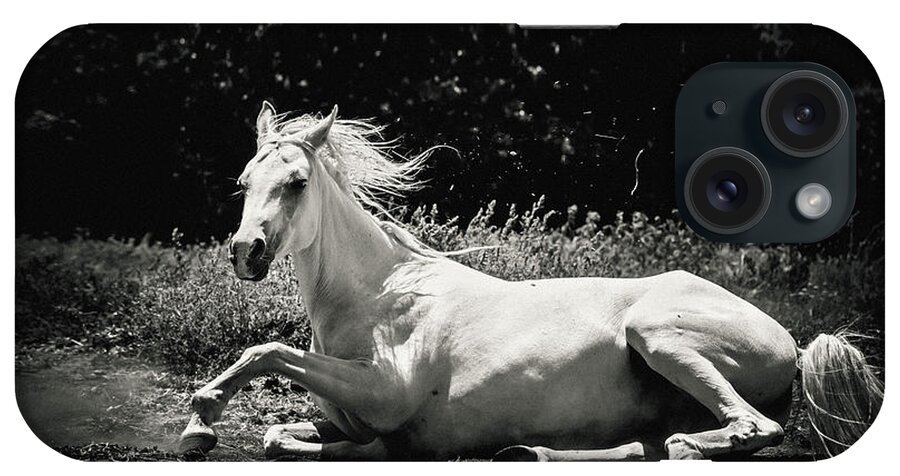 Horse iPhone Case featuring the photograph White Horse Laying Down by Dimitar Hristov