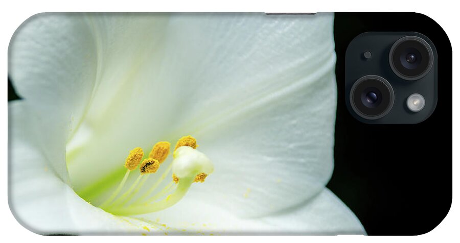 Abstract iPhone Case featuring the photograph White lily flower, yellow pollen, dark background by Jean-Luc Farges