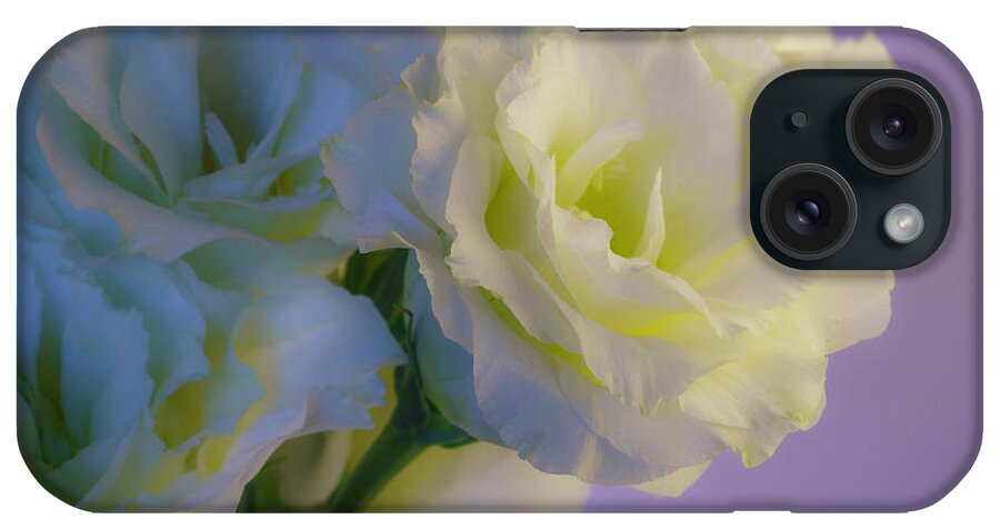 Lisianthus iPhone Case featuring the photograph White Lisianthus in Spring 2 by Lindsay Thomson