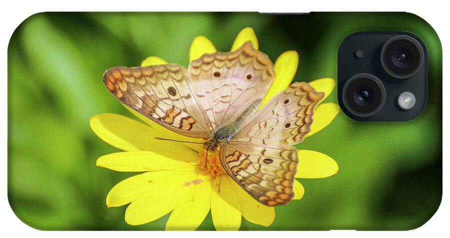 Butterflies iPhone Case featuring the photograph White Peacock Butterfly on Yellow Daisy by Dawn Richards