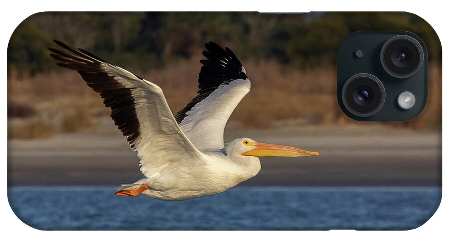 American White Pelican iPhone Case featuring the photograph White Pelican in Flight by Patricia Schaefer
