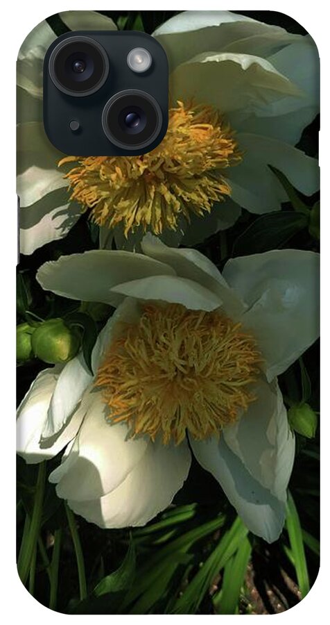 Floral iPhone Case featuring the photograph White Peony by Marcia Lee Jones