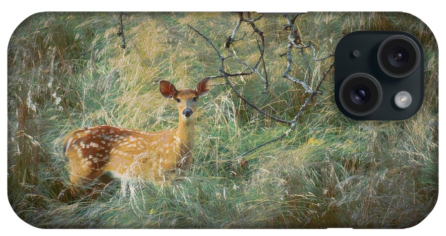 Deer iPhone Case featuring the photograph White Tailed Fawn in the Tall Grass by Jason Fink