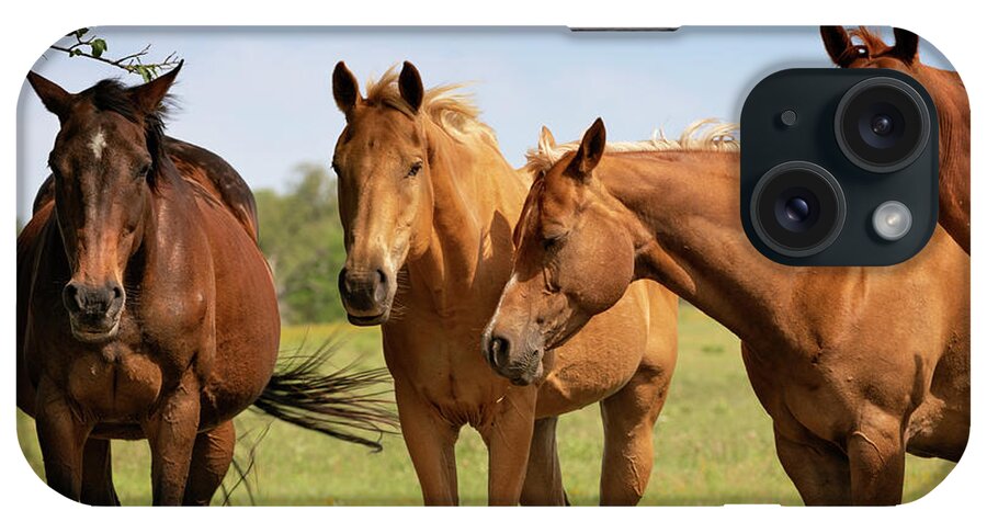 Oklahoma iPhone Case featuring the photograph Wichita Wildlife Refuge 71 by Ricky Barnard