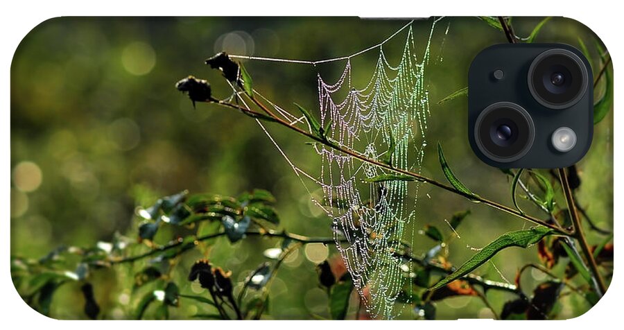 Web iPhone Case featuring the photograph Wild About Webs by Kerri Farley