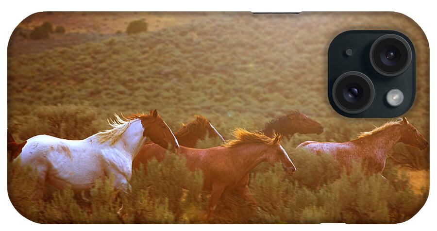 Horse iPhone Case featuring the photograph Wild Horses Running at Sunset by Diane Diederich