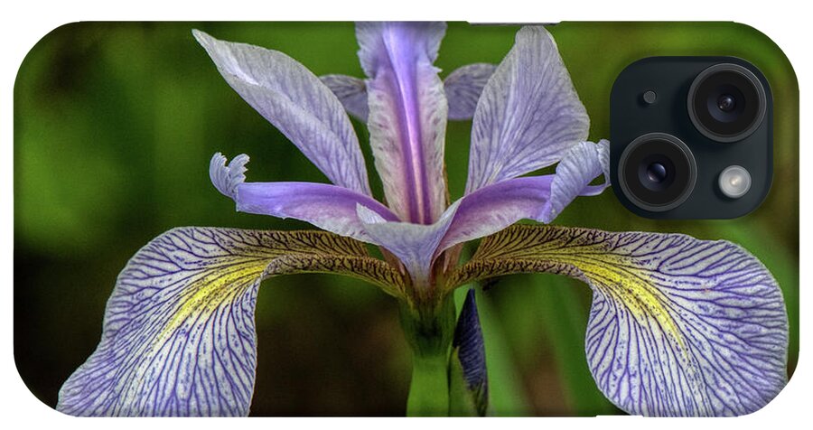 Flower iPhone Case featuring the photograph Wild Iris by Paul Freidlund