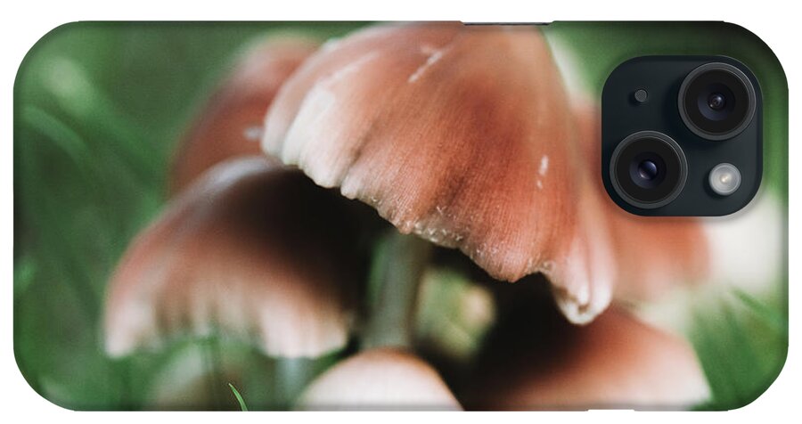 Plants iPhone Case featuring the photograph Wild Mushrooms - Nature Photography by Amelia Pearn