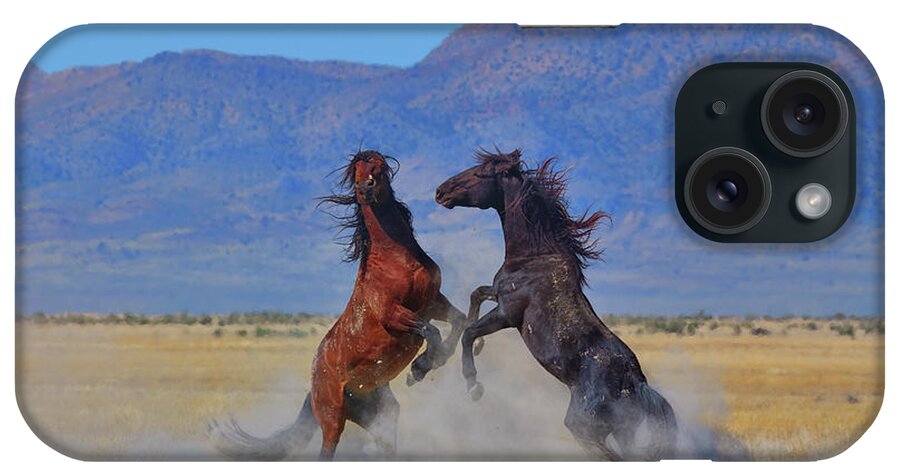 Wild Horses iPhone Case featuring the photograph Wild Stallion Dust Up by Greg Norrell