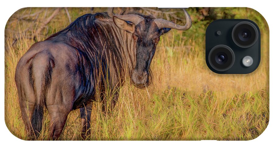 Kruger National Park iPhone Case featuring the photograph Wildebeest of Kruger National Park by Marcy Wielfaert