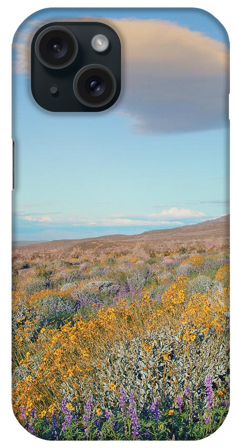Joshua Tree National Park iPhone Case featuring the photograph Wildflowers and Lenticular Cloud at Joshua Tree National Park, California by Ram Vasudev