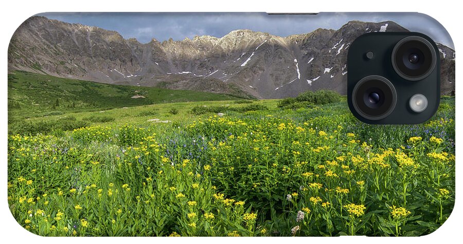 Breckenridge iPhone Case featuring the photograph Wildflowers in Mayflower Gulch by Aaron Spong