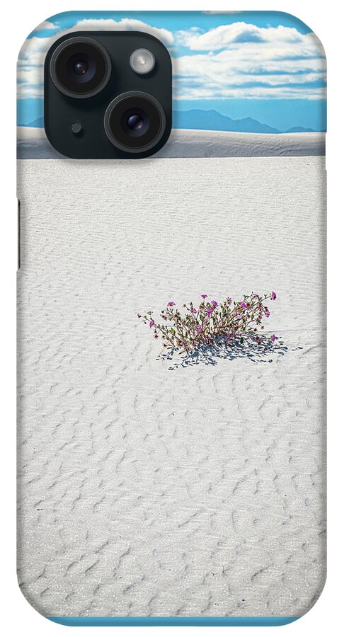 New Mexico iPhone Case featuring the photograph Wildflowers in the Sand by Erin K Images