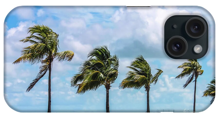 Blowing Sand iPhone Case featuring the photograph Wind Off the Gulf by Susan Vineyard