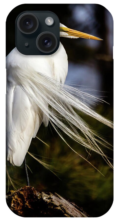 Chincoteague iPhone Case featuring the photograph Windblown egret by Robert Miller