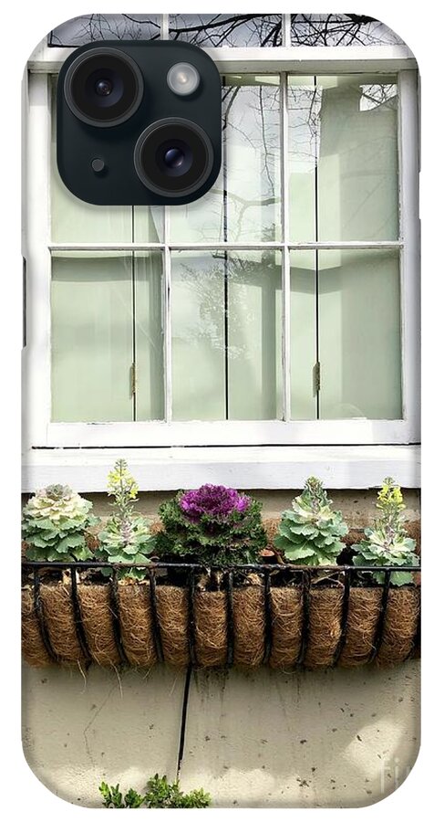 Window iPhone Case featuring the photograph Window Box by Flavia Westerwelle
