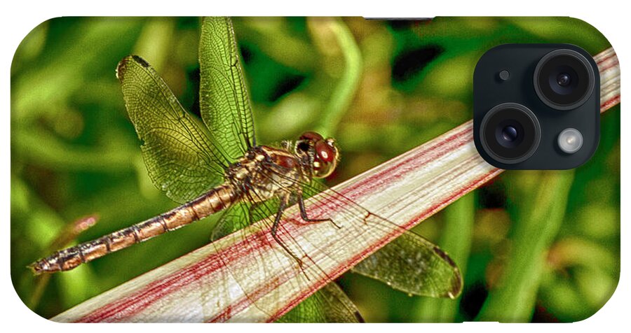 Dragonfly iPhone Case featuring the photograph Winged Dragon by Bill Barber