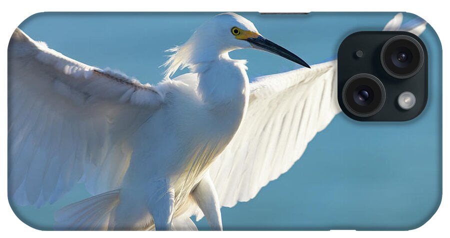 Snowy Egret iPhone Case featuring the photograph Wingspread by RD Allen