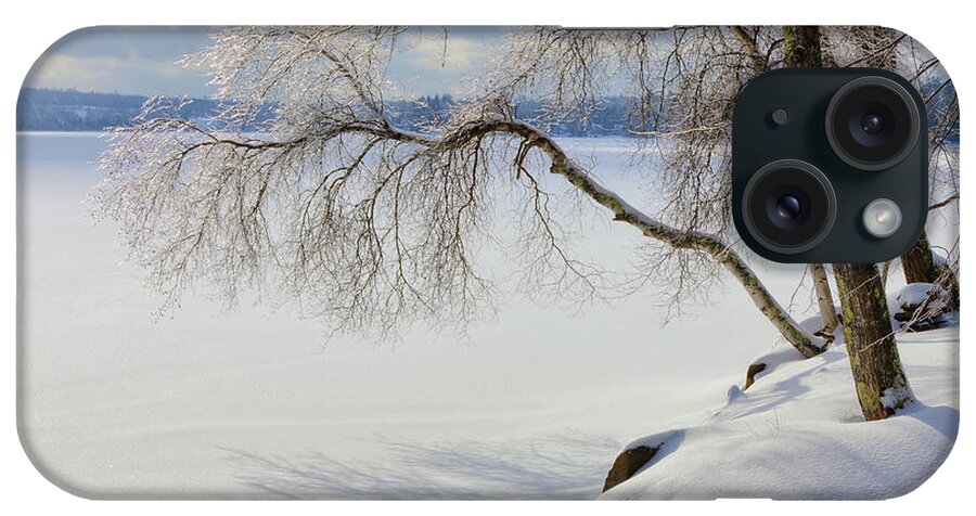 Winter iPhone Case featuring the photograph Winter 3468 by Greg Hartford