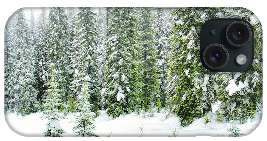 Okanagan Valley iPhone Case featuring the photograph Winter and Evergreens by Allan Van Gasbeck