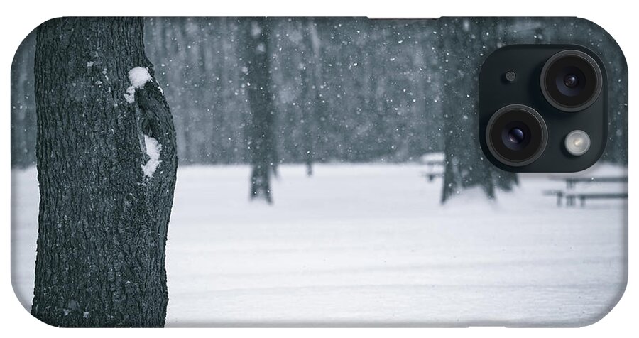 Winter Forest Floor iPhone Case featuring the photograph Winter Forest Floor by Dan Sproul