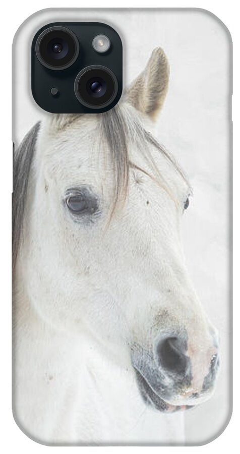 Horse iPhone Case featuring the photograph Winter Horse by JBK Photo Art