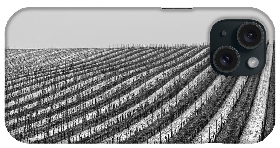 Winter iPhone Case featuring the photograph Winter in the Vineyard by Martin Vorel Minimalist Photography